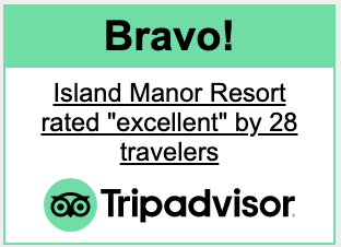 Tripadvisor Bravo Award logo
